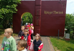 Zdjęcie 1 na 17
