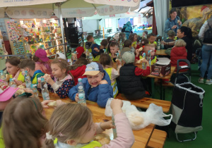 Zdjęcie 4 na 12