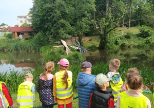 Przedszkolaki oglądają latające dinozaury nad zbiornikiem wodnym.