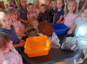 Projekt edukacyjny – Pieczarki z klasą grupa IV "Misiaczki"