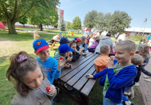 Zdjęcie 21 na 25
