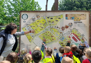 „Słoneczka” poznają plan ZOO i odszukują miejsce, w którym się aktualnie znajdują.