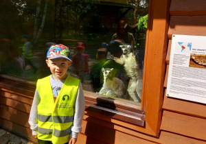 Paweł pozuje do zdjęcia obok klatki dla lemurów.