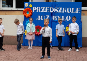 Zdjęcie 12 na 60
