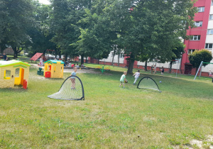 Zdjęcie 25 na 30