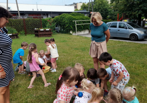 Zdjęcie 3 na 23