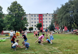 Zdjęcie 15 na 23